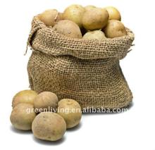 buy fresh potato of China with low price