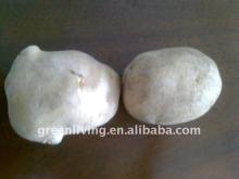  agriculture   fresh   potato  producer from China