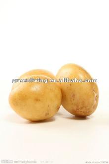 2012 fresh potato 200g up