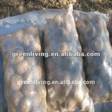 shigh in starch potato