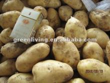 2012 cheap fresh Holland (russet) potato