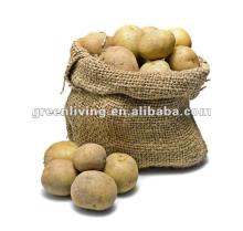 2012 fresh Chinese yellow potato big size