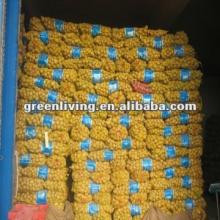 2012 fresh potato 100--200g competitive price