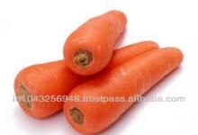 100% Good Farm Fresh Carrots from South India