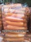 Shandong fresh carrots