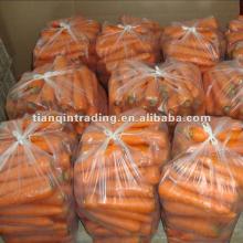  Yellow   Carrot 