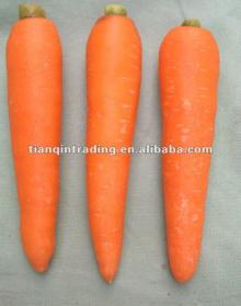 2012 Chinese fresh carrots
