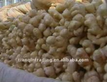 2011 fresh/ air dried Ginger