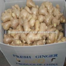dry ginger 150g