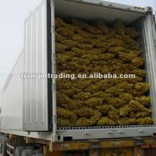 fresh ginger 150g-200g