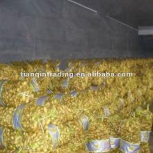 fresh ginger 20kg mesh bag