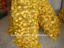 chinese fresh ginger for sale