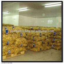 22kg mesh bag ginger