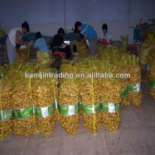 20kg mesh bag ginger