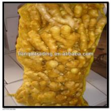 fresh yellow ginger