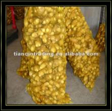 23kg fresh ginger