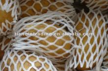 2011 Christmas Fresh vegetables Holland  Potato 
