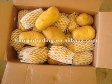 supply fresh golden shandong  potato   100g -200g