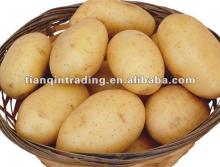  2012   fresh  potato