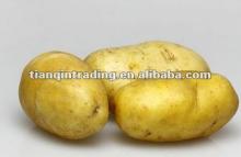 2012 chinese fresh potato price