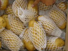 Yellow Potato Price in China, 2014 New!!