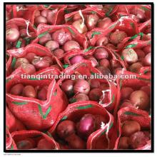 Red Onions