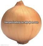 Chinese fresh yellow onion