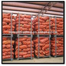 Fresh Chinese Onion