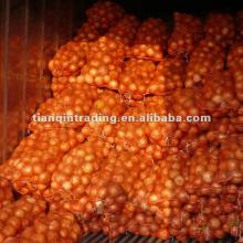 Buy Yellow Onion