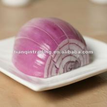 Chinese   Fresh   Onion 