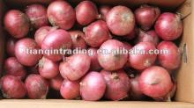 red onion for sale