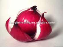 2012 chinese red onion Hot sale