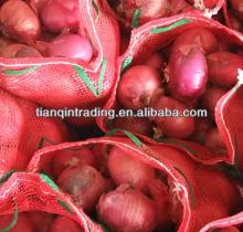 red onion price