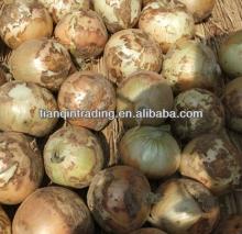 Chinese onin crop 2012