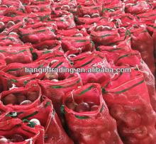 Chinese fresh onion 2012 price
