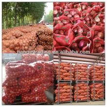 2013 onion price