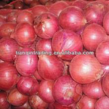 new crop red onion
