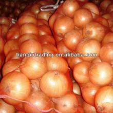 new crop fresh onion