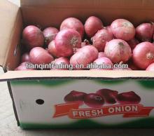 China red small onion