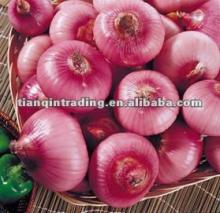 chinese fresh yellow red onion