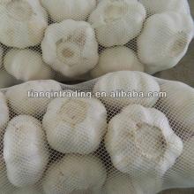 2013 garlic price in China