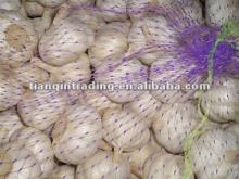pure white garlic in carton