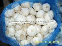 2012 china normal white garlic price