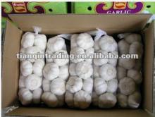 Chinese 2012 pure white garlic price