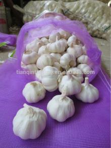 2014 Cold Storage Fresh Red Garlic