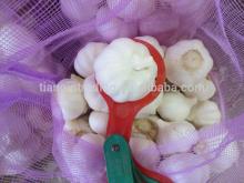 Purple Color Garlic, Fresh Red Garlic