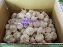 Big Size Garlic of 6.0cm, 10kg/carton