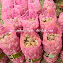 5cm fresh garlic price crop