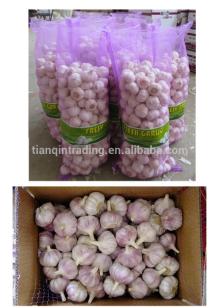 6CM Red Garlic in China , 10kg/carton