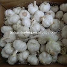 pure white garlic for oman